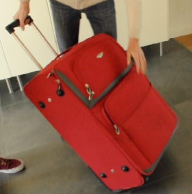Valise