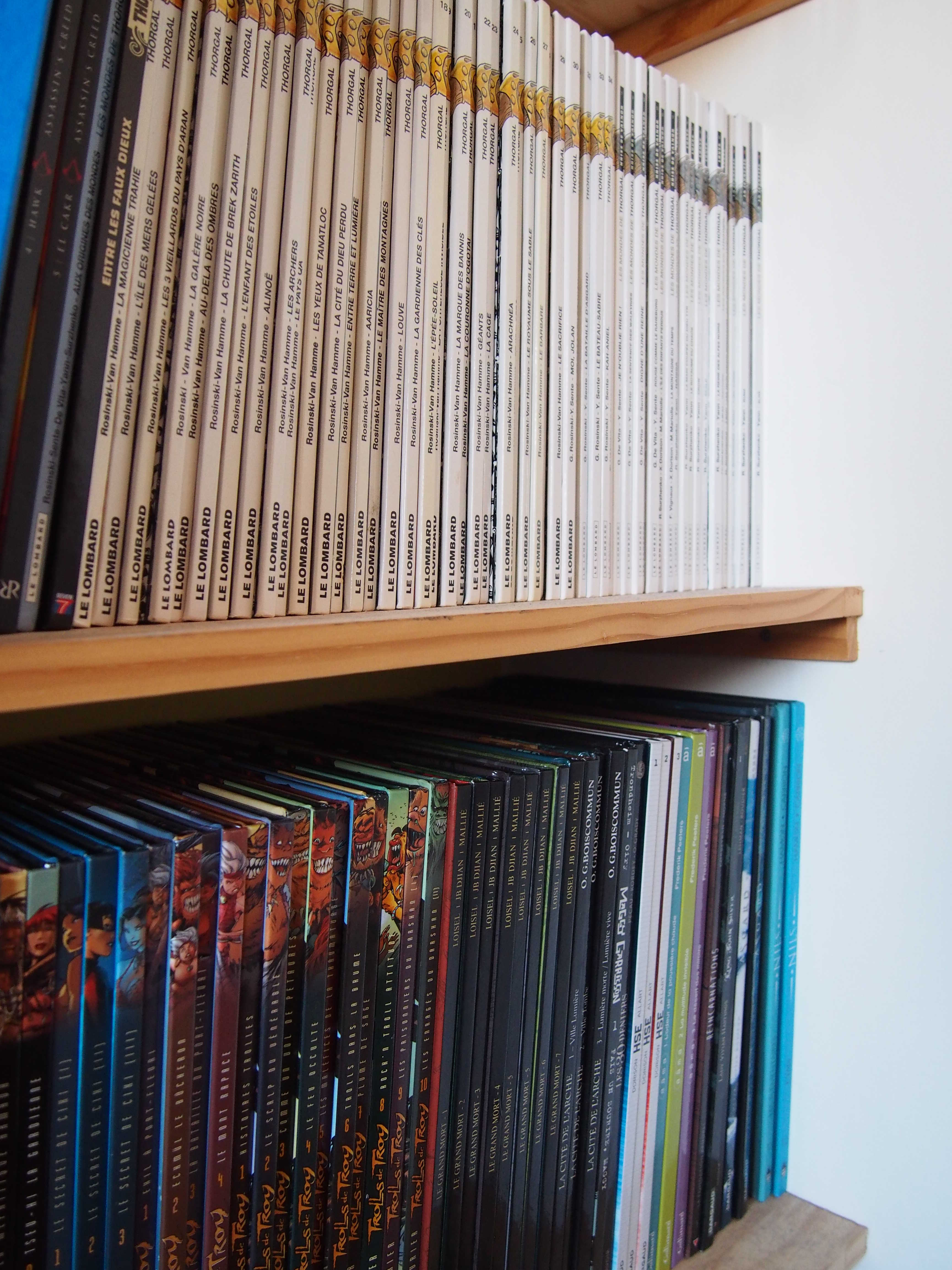 BD divers (Thorgal, Lanfeust de troy, le grand mort Tintin, asterix...)