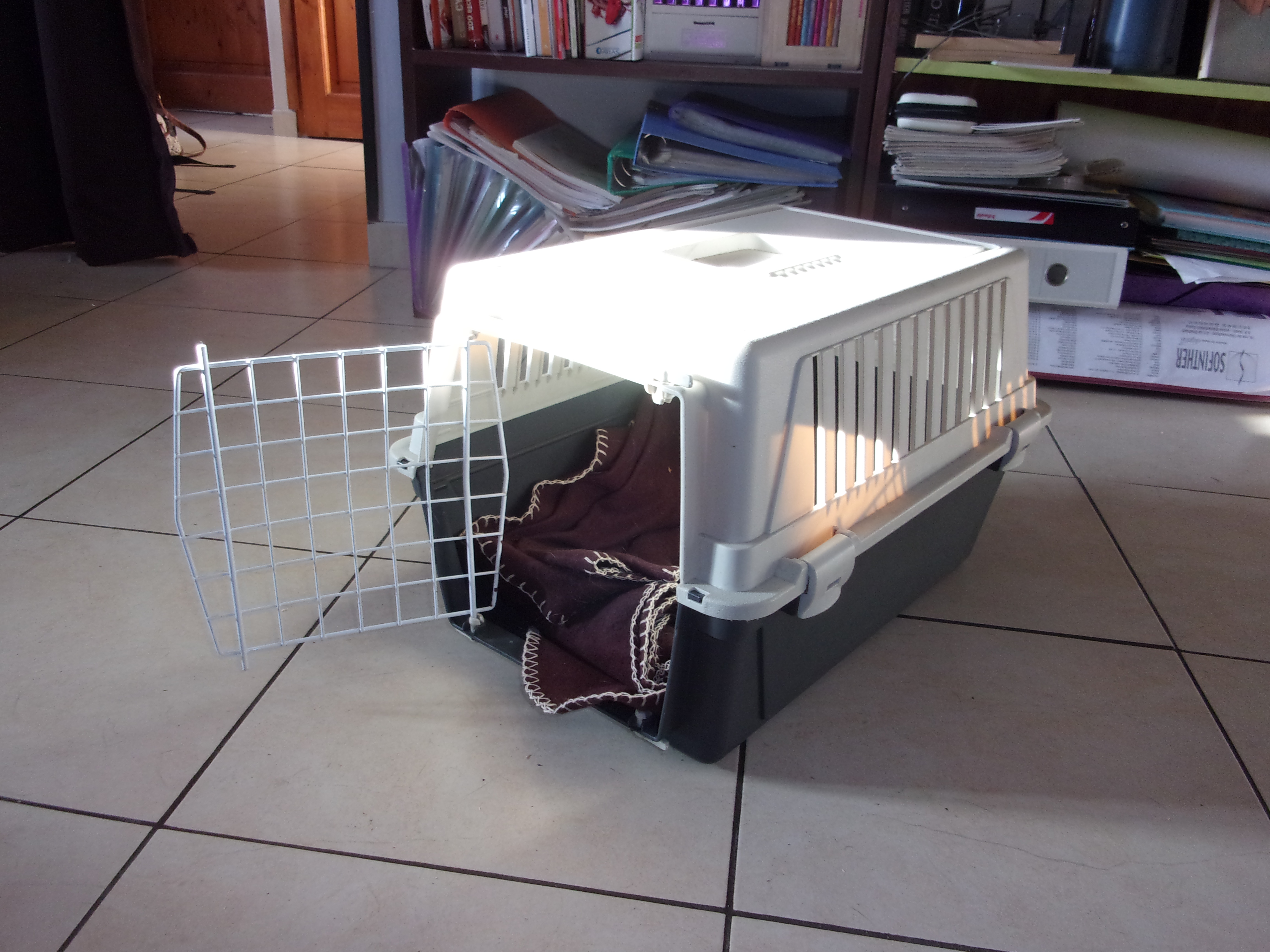 Caisse de transport petits animaux