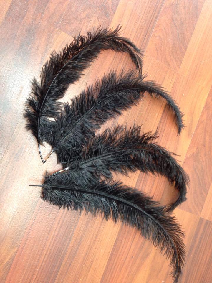 Plumes décoration années folles 