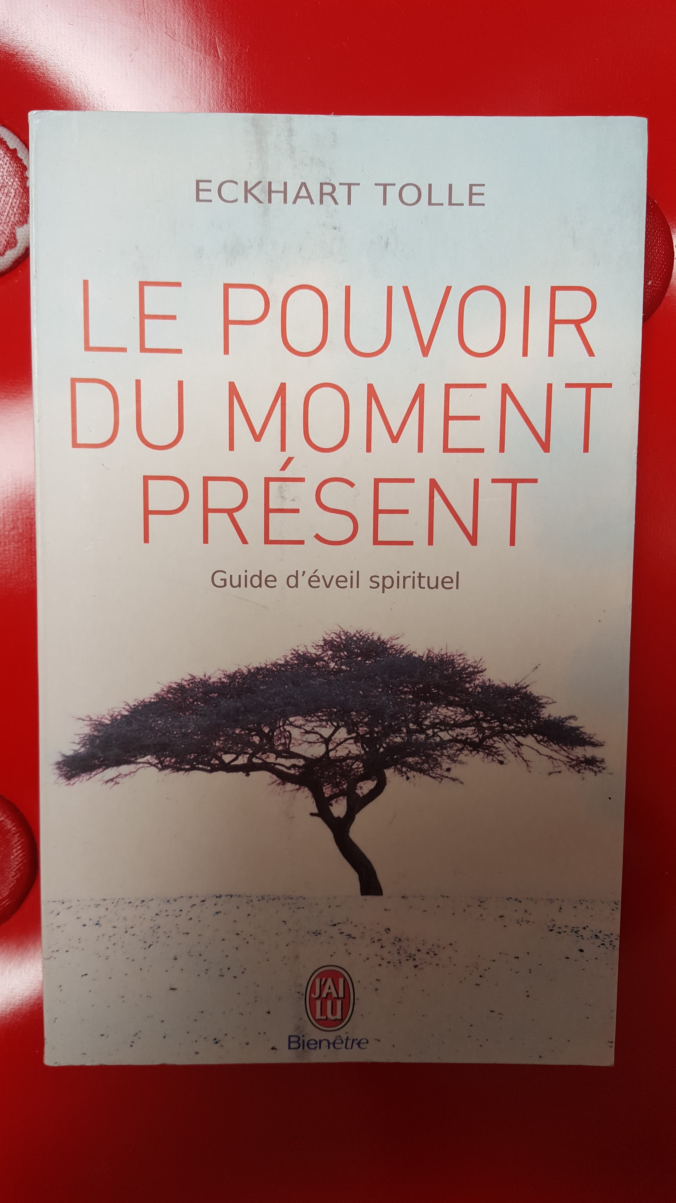 Le pouvoir du moment présent