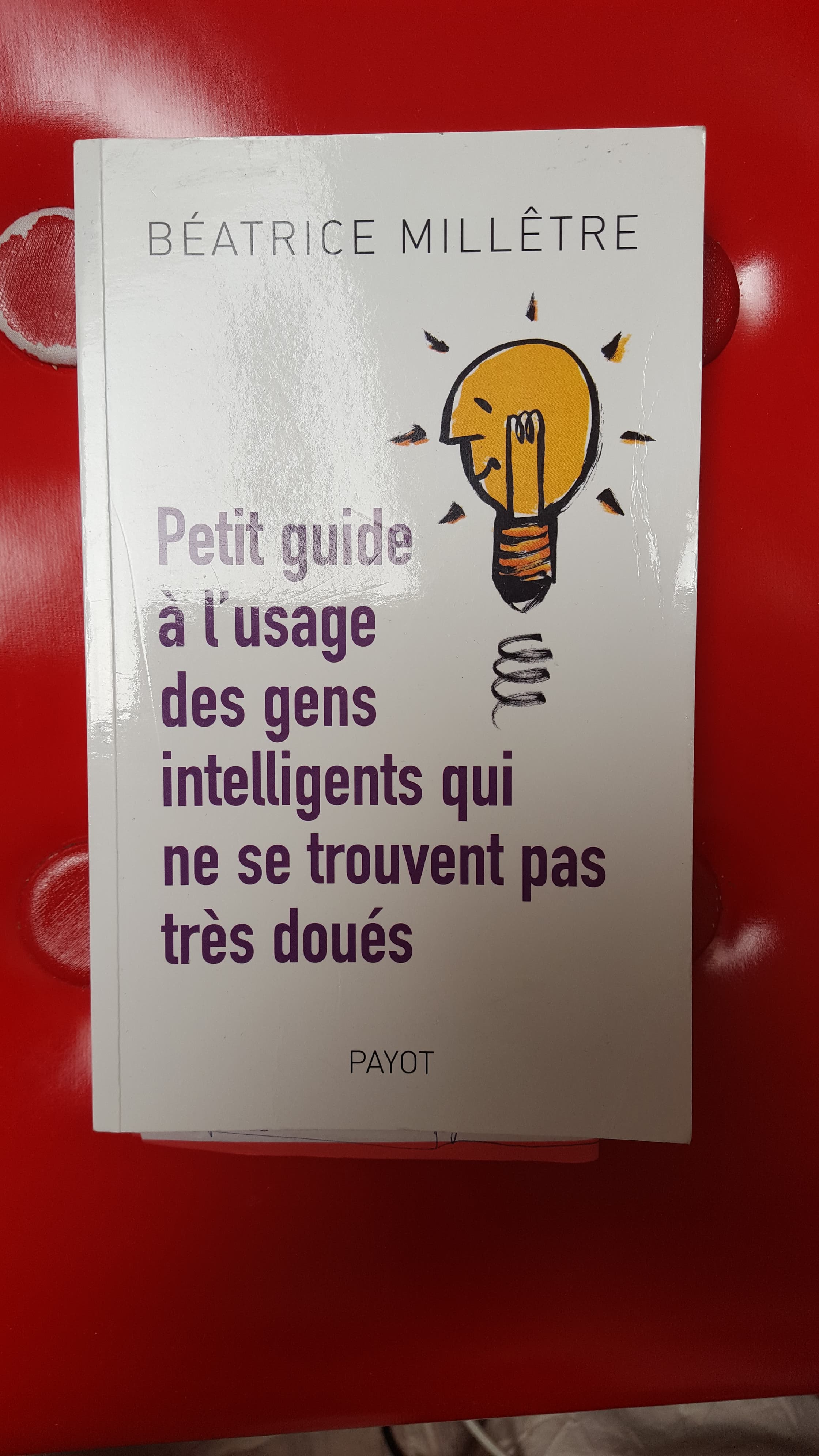 Petit guide à l'usage des gens intelligents qui ne se trouvent pas très doués